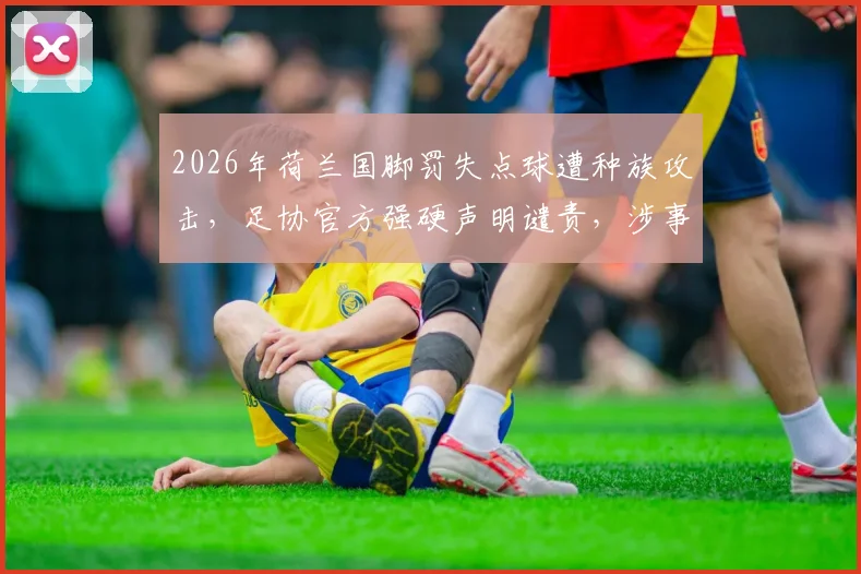 2026年荷兰国脚罚失点球遭种族攻击，足协官方强硬声明谴责，涉事球迷面临重罚